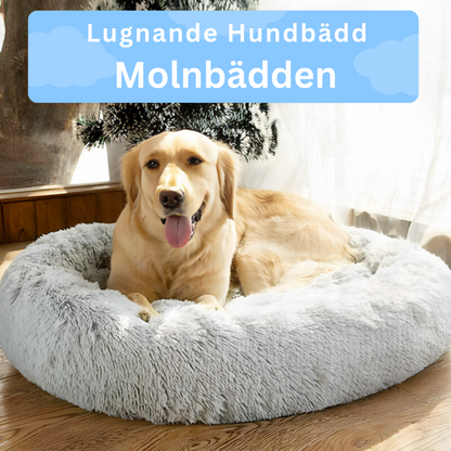 Molnbädden