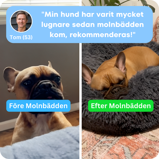 Molnbädden